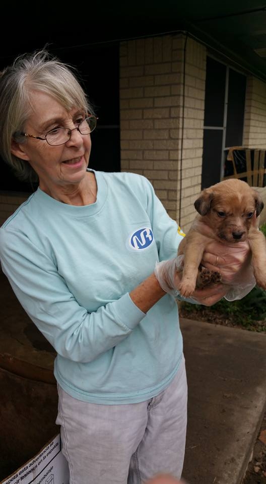 Glenda Specht holds a freshly-dewormed puppy. 