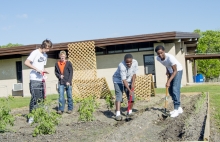 Joshua Pesek, Jonathan Snyder, Reggie Stewart and Demetrius Dilworth work in the Edna Alternative Garden